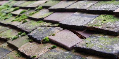 Llanhennock roof repair costs